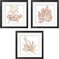 Framed 'Pacific Sea Mosses 3 Piece Framed Art Print Set' border=