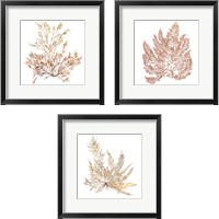 Framed 'Pacific Sea Mosses 3 Piece Framed Art Print Set' border=