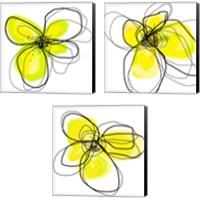 Framed 'Yellow Petals One 3 Piece Canvas Print Set' border=