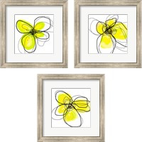 Framed Yellow Petals One 3 Piece Framed Art Print Set