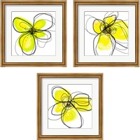 Framed 'Yellow Petals One 3 Piece Framed Art Print Set' border=