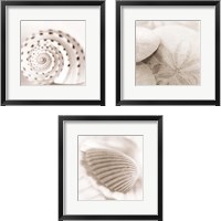 Framed Atlantis 3 Piece Framed Art Print Set