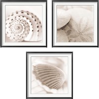 Framed 'Atlantis 3 Piece Framed Art Print Set' border=