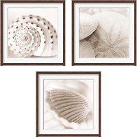 Framed 'Atlantis 3 Piece Framed Art Print Set' border=