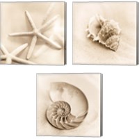 Framed 'Il Oceano 3 Piece Canvas Print Set' border=