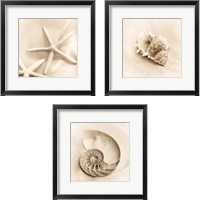 Framed Il Oceano 3 Piece Framed Art Print Set