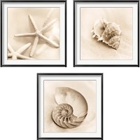 Framed 'Il Oceano 3 Piece Framed Art Print Set' border=
