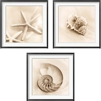 Framed 'Il Oceano 3 Piece Framed Art Print Set' border=