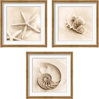 Framed 'Il Oceano 3 Piece Framed Art Print Set' border=