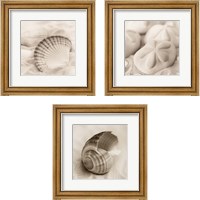 Framed 'La Mer 3 Piece Framed Art Print Set' border=