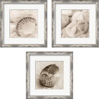 Framed 'La Mer 3 Piece Framed Art Print Set' border=