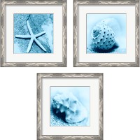 Framed 'Nautica 3 Piece Framed Art Print Set' border=