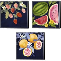 Framed Fresh Fruit 3 Piece Canvas Print Set