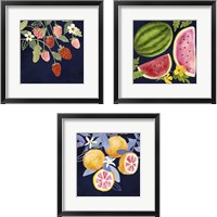 Framed Fresh Fruit 3 Piece Framed Art Print Set