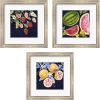 Framed 'Fresh Fruit 3 Piece Framed Art Print Set' border=