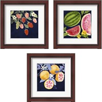 Framed 'Fresh Fruit 3 Piece Framed Art Print Set' border=