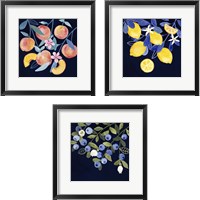 Framed 'Fresh Fruit 3 Piece Framed Art Print Set' border=