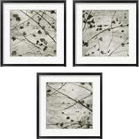 Framed 'Laced Sky 3 Piece Framed Art Print Set' border=