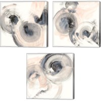 Framed 'Spin Around 3 Piece Canvas Print Set' border=