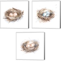 Framed 'Bird Life 3 Piece Canvas Print Set' border=