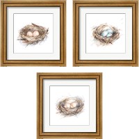 Framed 'Bird Life 3 Piece Framed Art Print Set' border=