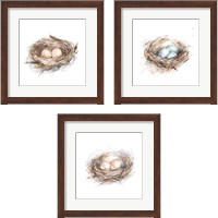 Framed Bird Life 3 Piece Framed Art Print Set