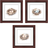 Framed Bird Life 3 Piece Framed Art Print Set