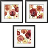 Framed 'Poppy Patch 3 Piece Framed Art Print Set' border=