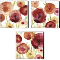 Framed 'Poppy Patch 3 Piece Canvas Print Set' border=