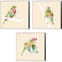 Framed 'Foliage & Feathers 3 Piece Canvas Print Set' border=