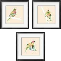 Framed 'Foliage & Feathers 3 Piece Framed Art Print Set' border=