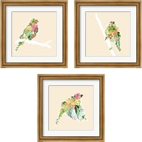 Framed 'Foliage & Feathers 3 Piece Framed Art Print Set' border=