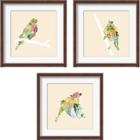 Framed 'Foliage & Feathers 3 Piece Framed Art Print Set' border=