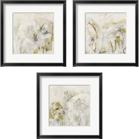 Framed Arctic Lichen 3 Piece Framed Art Print Set