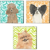 Framed 'Parlor Pooches 3 Piece Canvas Print Set' border=