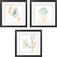 Framed Petite Petals 3 Piece Framed Art Print Set