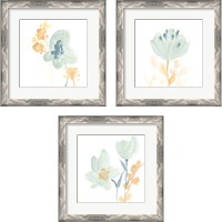 Framed Petite Petals 3 Piece Framed Art Print Set