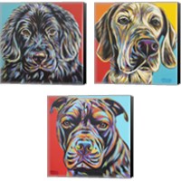 Framed Canine Buddy 3 Piece Canvas Print Set