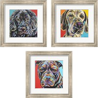 Framed Canine Buddy 3 Piece Framed Art Print Set