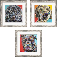 Framed Canine Buddy 3 Piece Framed Art Print Set