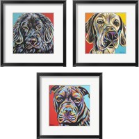 Framed 'Canine Buddy 3 Piece Framed Art Print Set' border=