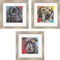 Framed Canine Buddy 3 Piece Framed Art Print Set