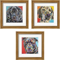 Framed 'Canine Buddy 3 Piece Framed Art Print Set' border=
