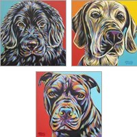 Framed Canine Buddy 3 Piece Art Print Set