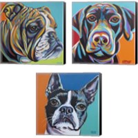 Framed Dog Friend 3 Piece Canvas Print Set