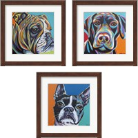 Framed 'Dog Friend 3 Piece Framed Art Print Set' border=