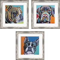 Framed 'Dog Friend 3 Piece Framed Art Print Set' border=