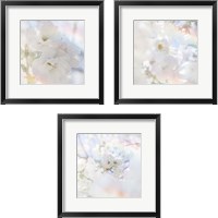 Framed 'Apple Blossoms 3 Piece Framed Art Print Set' border=
