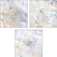 Framed 'Apple Blossoms 3 Piece Art Print Set' border=