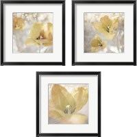 Framed Yellow Tulip 3 Piece Framed Art Print Set